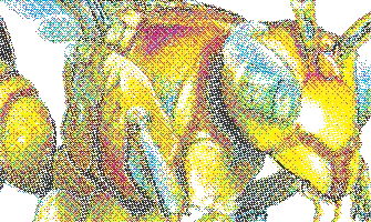 Close-up of CMYK colour separation for screen printing
